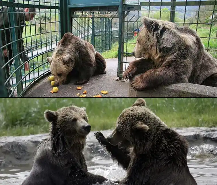 senda del oso con la familia