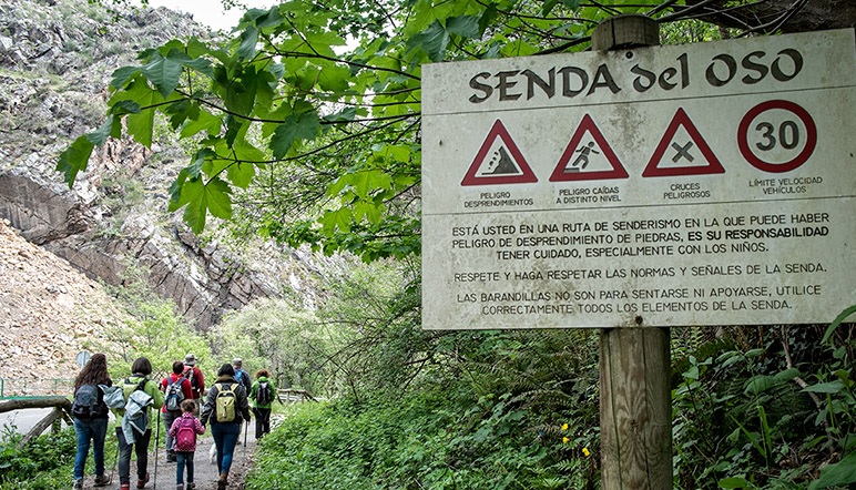 Pareja de senderistas andando felices por el trazado verde de la Senda del Oso en Asturias