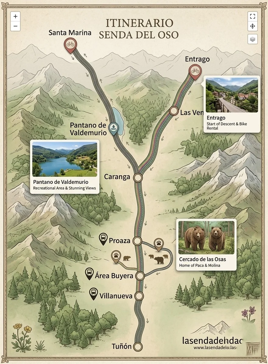 Nuevo mapa interactivo ilustrado de la Senda del Oso en Asturias, detallando la ruta en bici de Entrago y el cercado de las osas Paca y Molina.