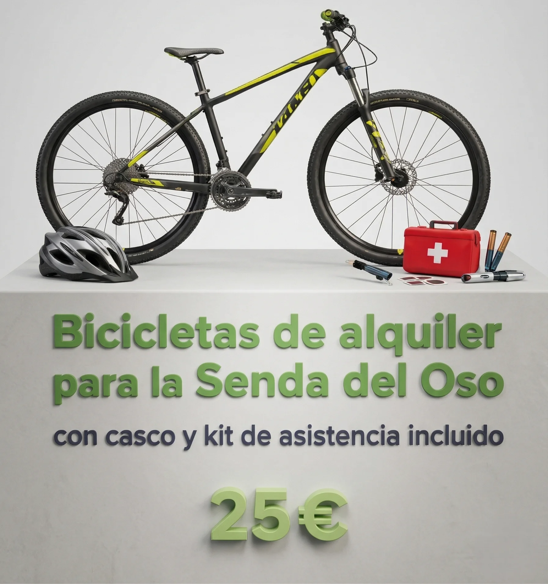Rental bikes for the Bear Trail with helmet and assistance kit included.