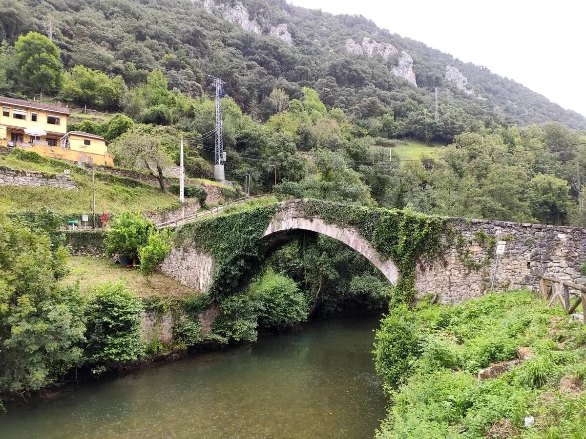 senda del oso asturias