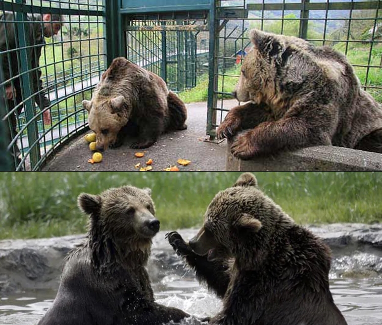 Familia disfrutando de la Senda del Oso