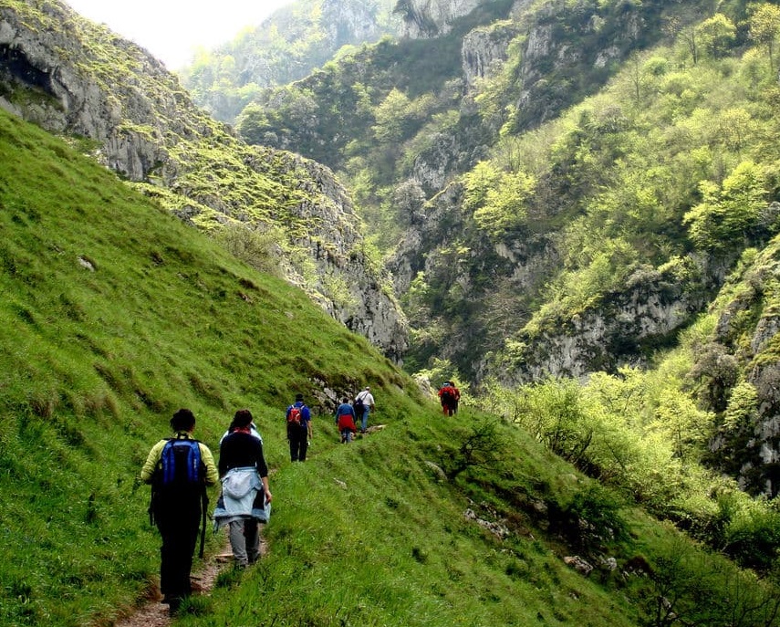 ruta de la senda del oso en grupo