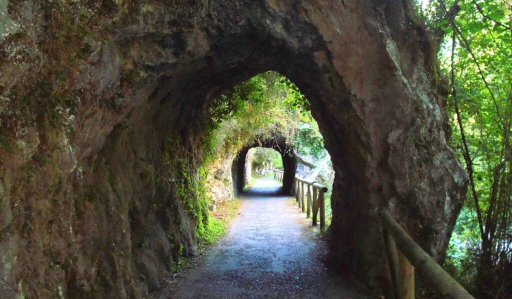 La Senda del Oso Asturias, un paseo para toda la familia