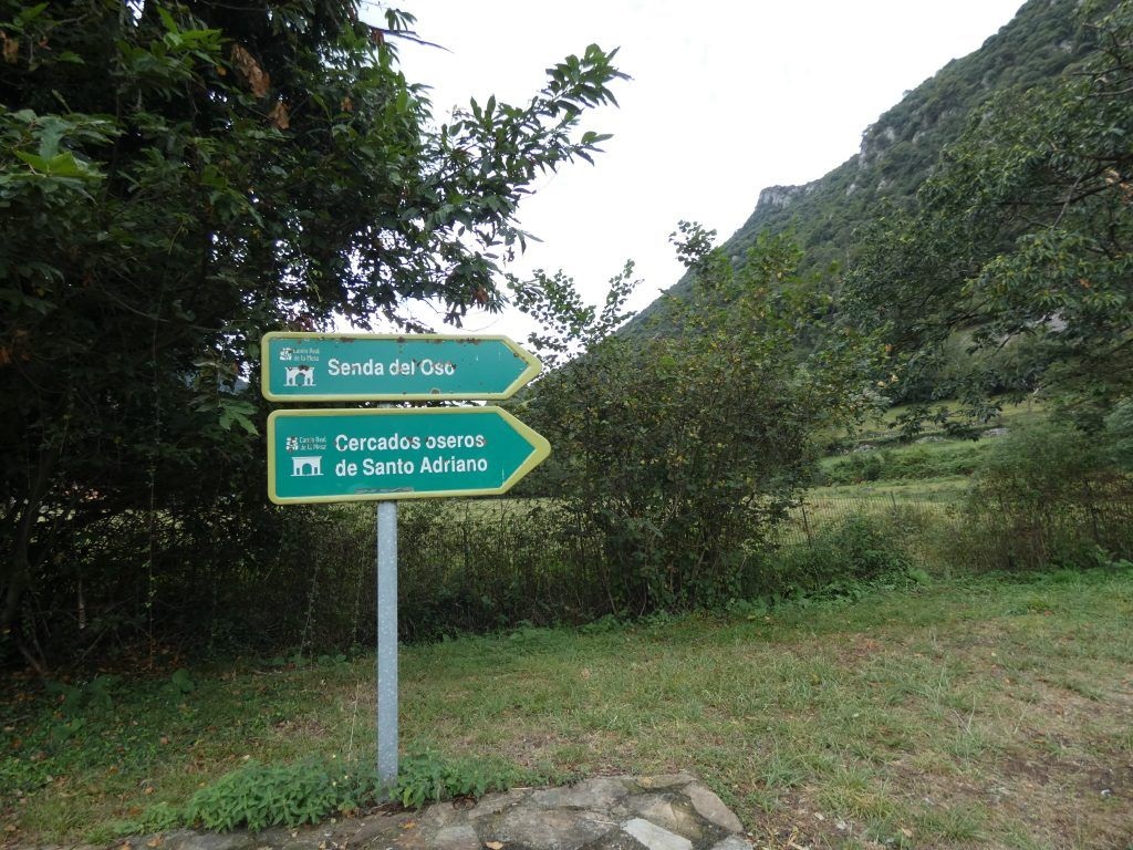 La Senda del Oso Asturias, un paseo para toda la familia